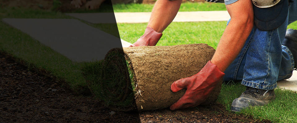 Galesville Landscapers